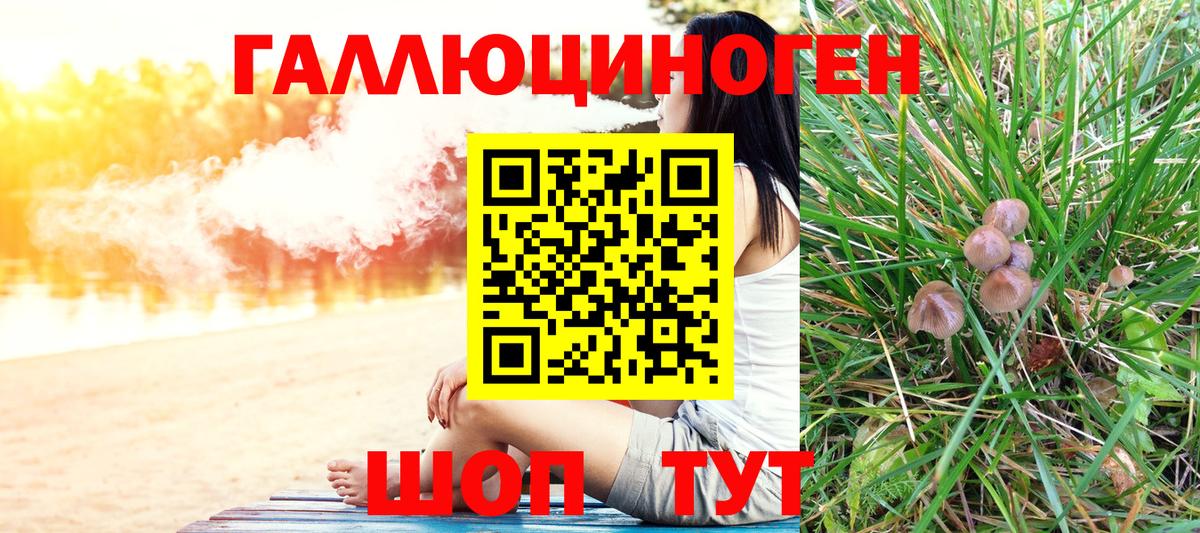 купить наркотики сайты  Галлюциногенные грибы GOLDEN TEACHER  Вход с VPN  Новочебоксарск  Галлюциногенные грибы ЛСД 