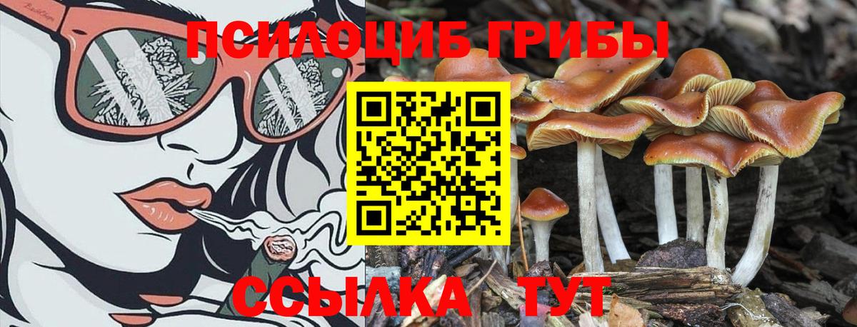 Псилоцибиновые грибы MAGIC MUSHROOMS Новочебоксарск